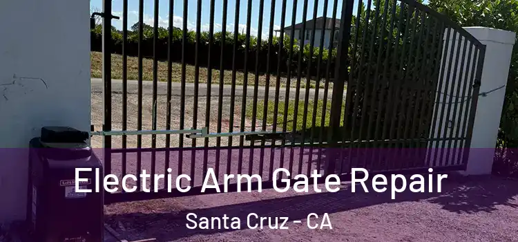 Electric Arm Gate Repair Santa Cruz - CA