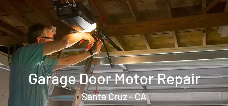  Garage Door Motor Repair Santa Cruz - CA