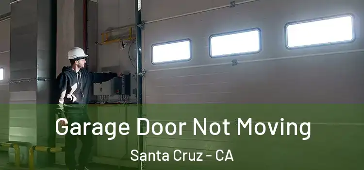  Garage Door Not Moving Santa Cruz - CA