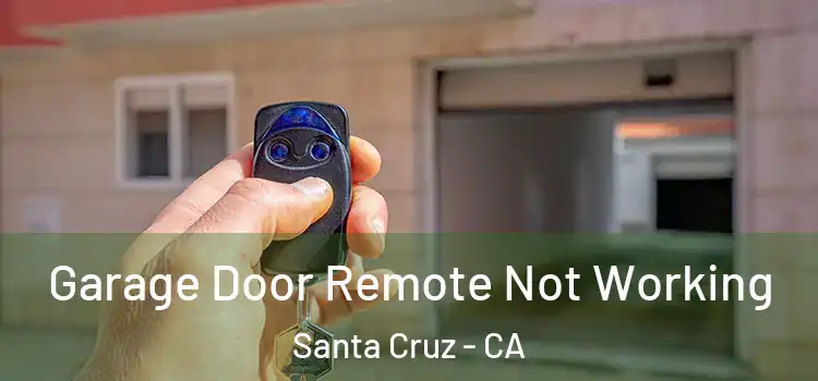 Garage Door Remote Not Working Santa Cruz - CA
