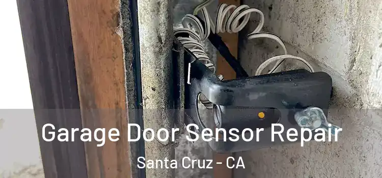 Garage Door Sensor Repair Santa Cruz - CA