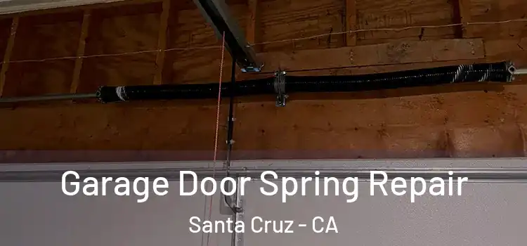  Garage Door Spring Repair Santa Cruz - CA