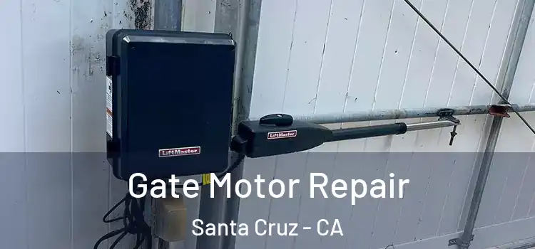 Gate Motor Repair Santa Cruz - CA