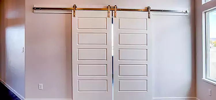 Glass Barn Door with Installation Hardware Kit Santa Cruz